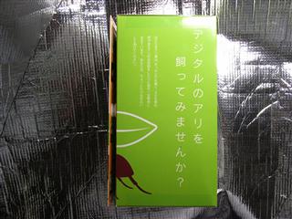 AntsLifeStudio (1)_R.jpg