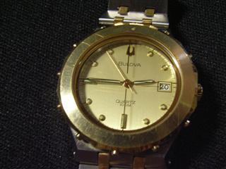 Apo_WAT (12)_R.jpg