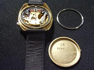 Apo_WAT (8)_R.jpg